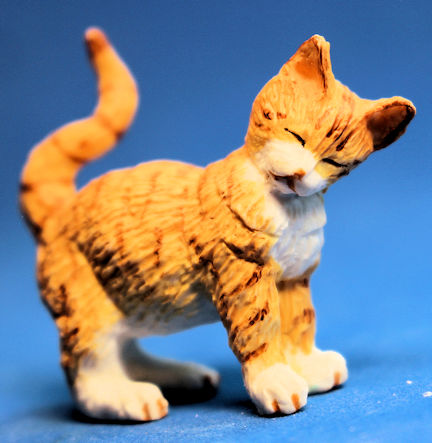 (image for) Cat standing
